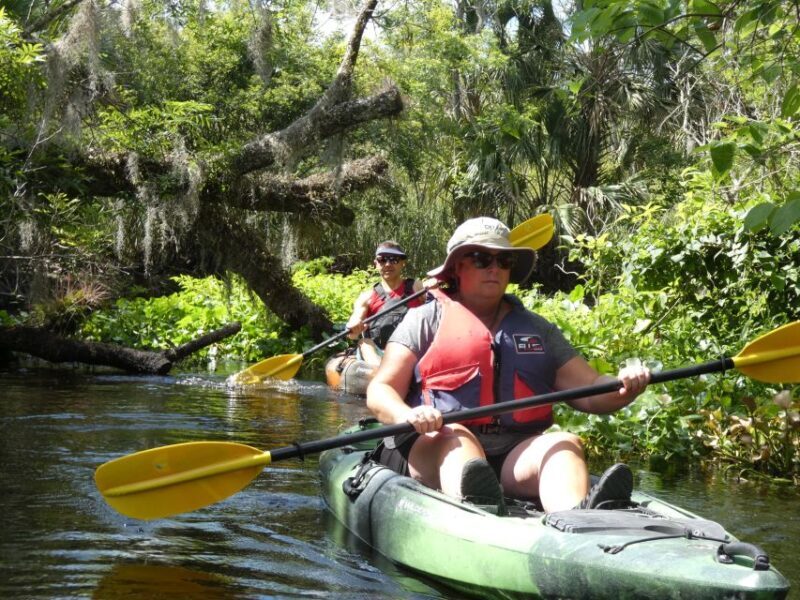 Blackwater Creek: Exclusive Nature Escape Kayak Adventure - An Introduction to Blackwater Creek Kayak Tour