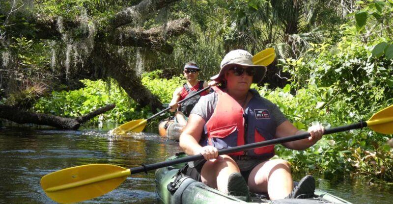 Blackwater Creek: Exclusive Nature Escape Kayak Adventure - The Itinerary: A Day in the Wilderness