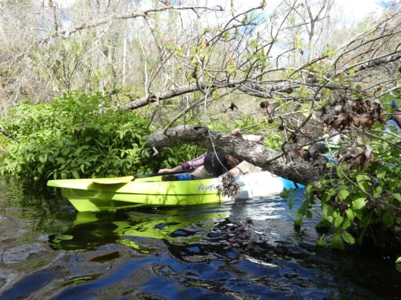Blackwater Creek: Exclusive Nature Escape Kayak Adventure - Practical Tips and Considerations