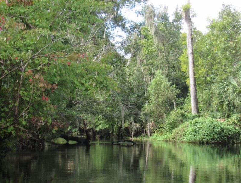 Blackwater Creek: Exclusive Nature Escape Kayak Adventure - The Experience Provider: Venture Outdoors
