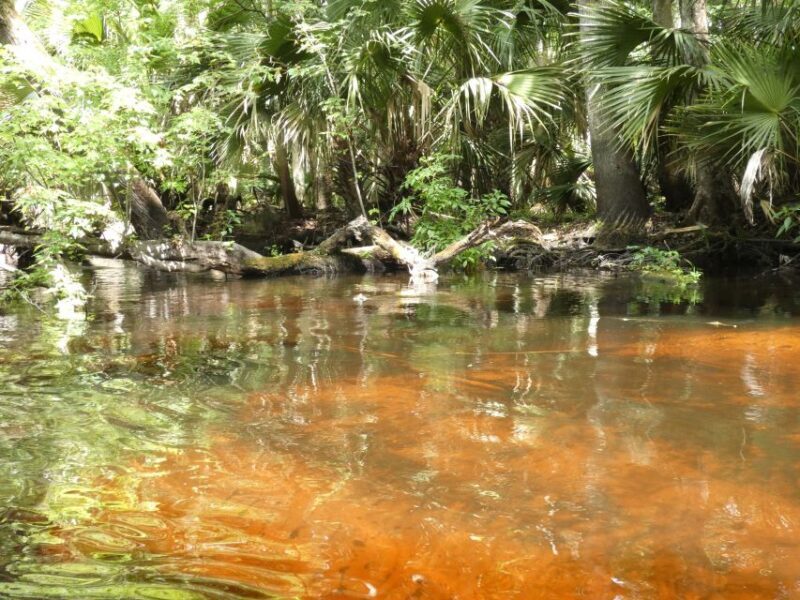 Blackwater Creek: Exclusive Nature Escape Kayak Adventure - FAQ