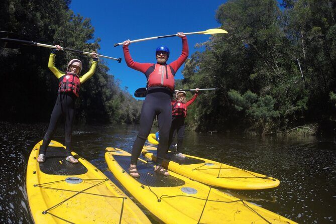 Blackwater Tubing Green Route Forest Adventure - Authentic Experiences and Genuine Value