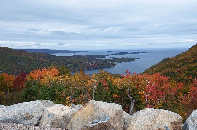 Blackwood Tours: 6 Hour Cabot Trail Tour in Cape Breton, NS - Authentic Experiences and Insights from Reviews