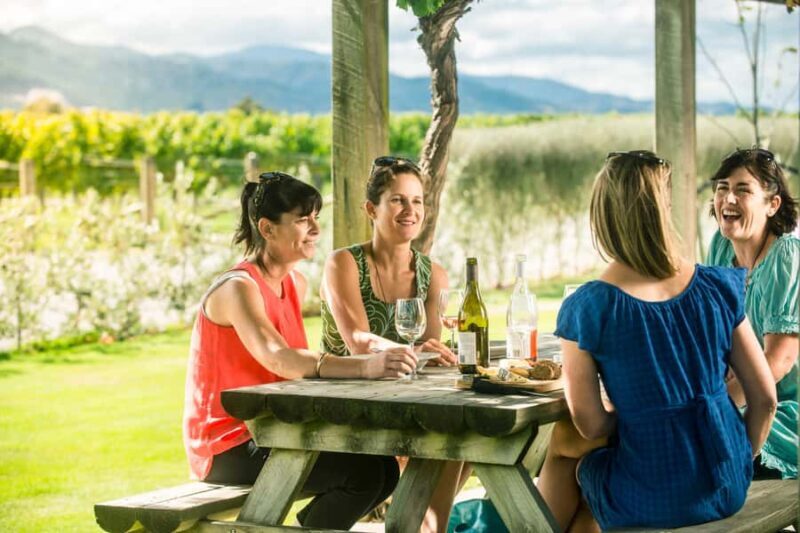 Blenheim/Renwick: Marlborough Half-Day Wine Tour with Lunch - Key Points