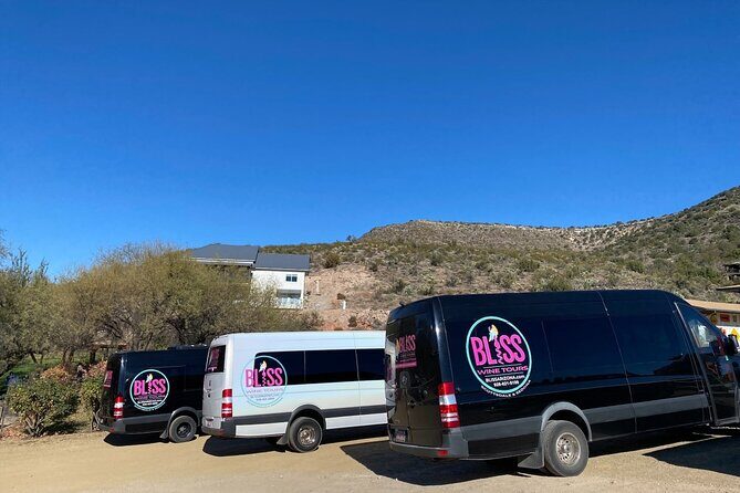 Bliss - Sedonas Most Luxurious Wine Tour - Lunch Included! - Practical Tips for a Smooth Day
