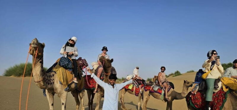 Blissful Half Day Sunset Camel Safari with Musical Evening - Practical Tips and Considerations