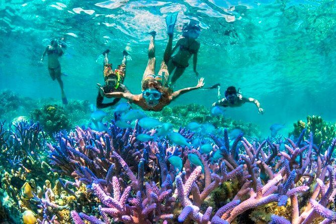 Bloo Lagoon Snorkeling East Bali Includes Transportation & Lunch - The Experience: What You’ll Likely Love