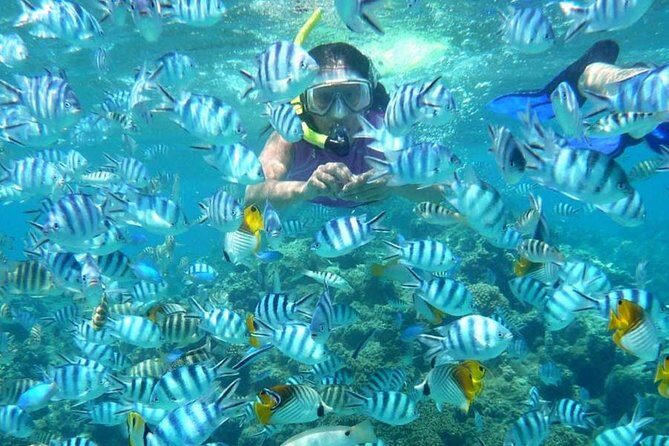 Bloo Lagoon Snorkeling East Bali Includes Transportation & Lunch - How to Maximize Your Day