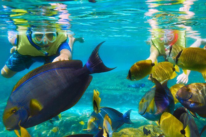 Bloo Lagoon Snorkeling East Bali Includes Transportation & Lunch - Frequently Asked Questions