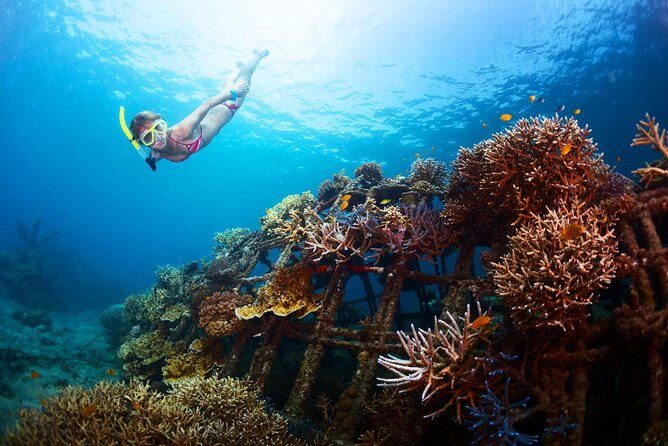 Bloo Lagoon Snorkeling East Bali Includes Transportation & Lunch - In The Sum Up