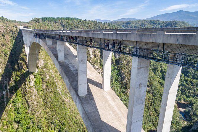 Bloukrans Bungy, the worlds best bungy jump! - The Ultimate Guide to Your Bloukrans Bungy Experience