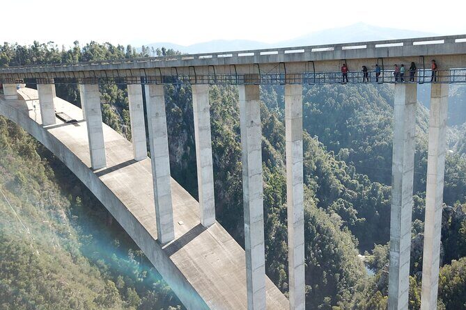 Bloukrans Skywalk Tour and HangOut Zone - The Sum Up