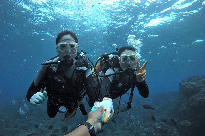 Blue Cave Area Experience Diving!Free feeding & photo images Chinese guide available!1 group with a dedicated instructor - What Is the Blue Cave Experience All About?