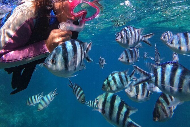 Blue Cave Private Snorkeling with Photoshoot - Why This Tour Offers Good Value