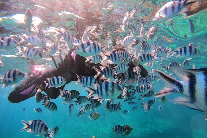 Blue Cave Private Snorkeling with Photoshoot - Authentic Feedback from Travelers