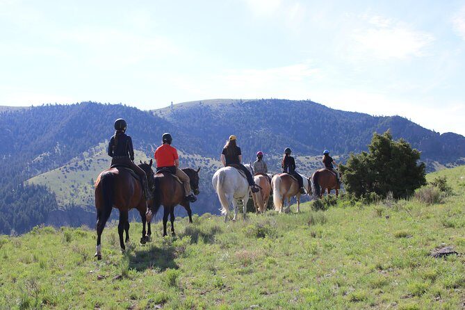 Blue Flower Trail Ride - Key Points