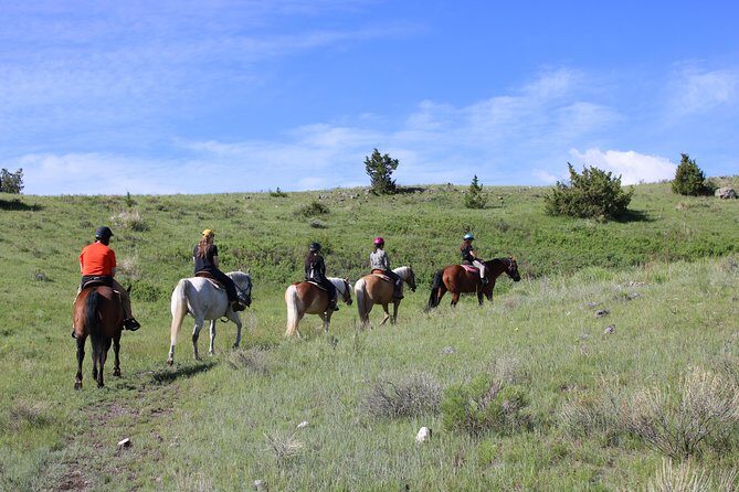 Blue Flower Trail Ride - Practical Details: Cost, Duration, and Booking