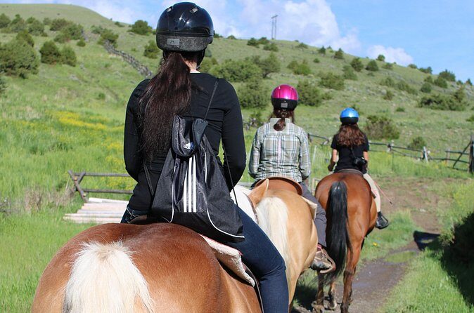 Blue Flower Trail Ride - FAQs