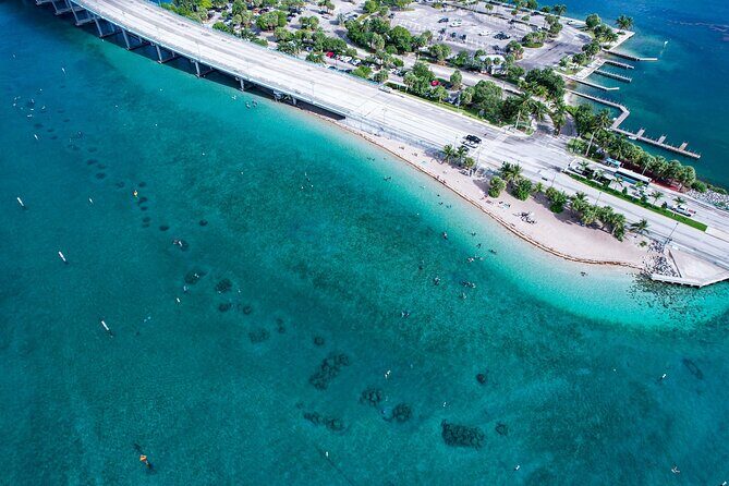 Blue Heron Bridge Guided Snorkel Tour - An In-Depth Look at the Blue Heron Bridge Snorkel Tour