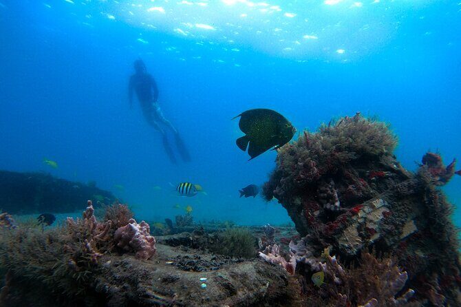 Blue Heron Bridge Guided Snorkel Tour - The Sum Up: Why You Should Consider This Snorkel Tour