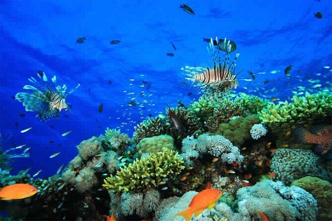 Blue Hole and 3 Pools Snorkel with Lunch from Dahab - Lunch and Return Trip