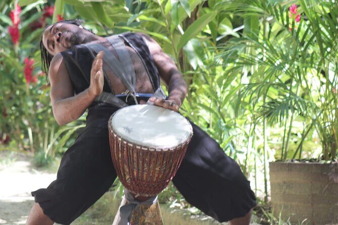 Blue Hole and Dunns River Falls Tour with Lunch and Cocktails at Reggae Hill - Who Should Book This Tour?
