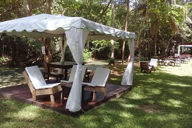 Blue Hole and Dunns River Falls Tour with Lunch and Cocktails at Reggae Hill - FAQ