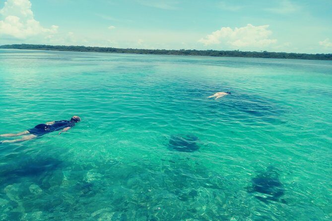 Blue hole, drift snorkeling, turtles Celebration Key is welcome - Valuable Details and Insights