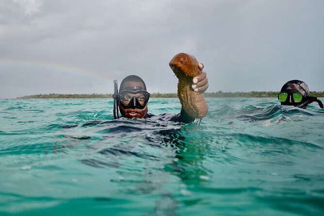 Blue hole, drift snorkeling, turtles Celebration Key is welcome - In The Sum Up