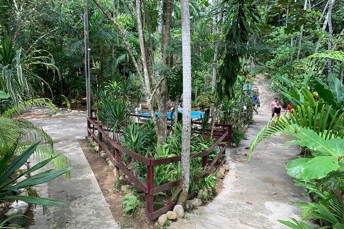 Blue Hole & Dunn's River Falls with Lunch from Negril - Who Should Consider This Tour?