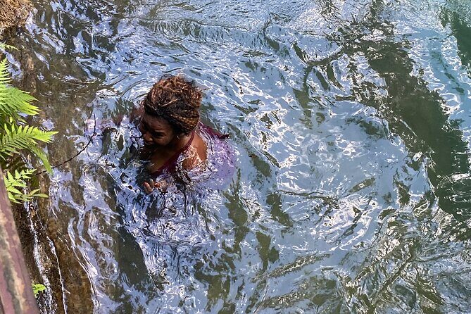 Blue Hole Falls & Ocho Rios from Montego Bay & Falmouth Jamaica - The Itinerary: What You’ll Experience