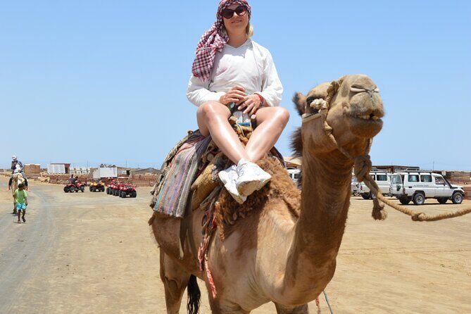 Blue Hole From Sharm El Sheikh,ATV Quad,Camel ride, Lunch, pickup - Land Adventures: Camel Rides and ATV