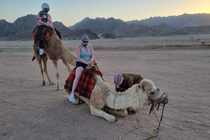 Blue Hole From Sharm El Sheikh,ATV Quad,Camel ride, Lunch, pickup - Additional Activities and Shopping