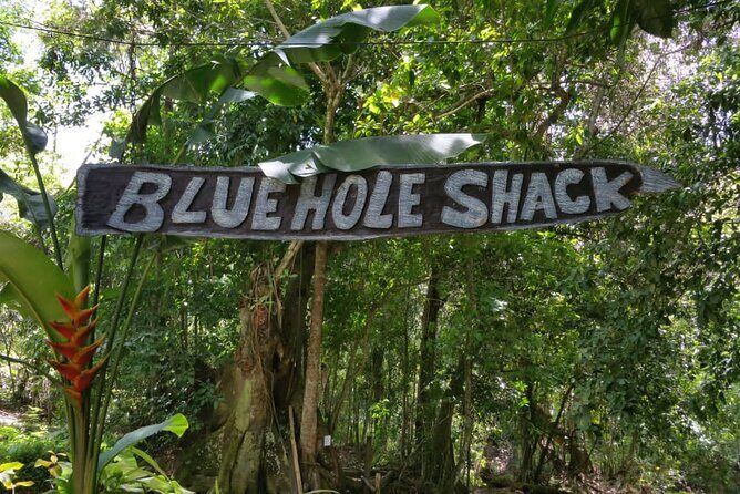 Blue Hole/Secert falls and Dunns River Combo Tour - What to Expect from the Tour