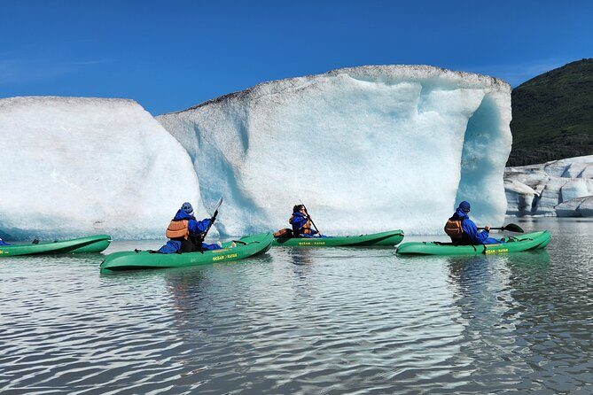 Blue Ice Kayaking Adventure at Spencer Glacier - What the Reviews Say
