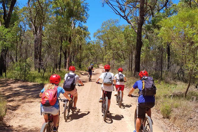 Blue Labyrinth PRIVATE Tour: Sydney Blue Mountains by E-Bike - What Is the Blue Labyrinth E-Bike Tour?