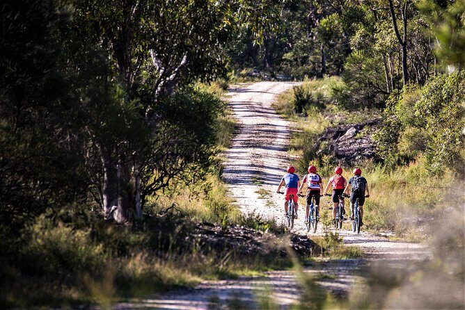 Blue Labyrinth PRIVATE Tour: Sydney Blue Mountains by E-Bike - Is This Tour Right for You?