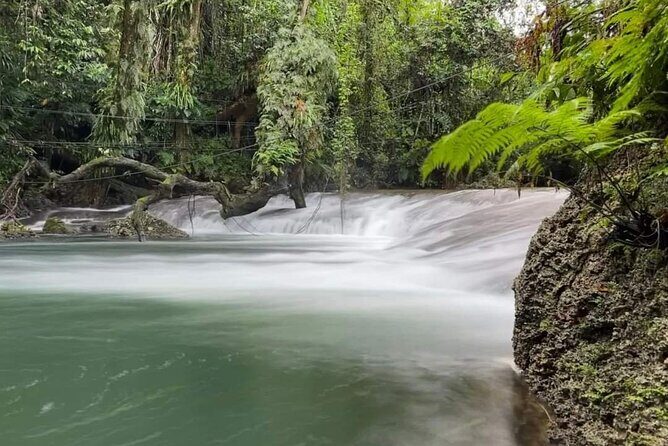 Blue Lagoon & Eden on the River - Half Day Trip with Yumi Tours - Key Points