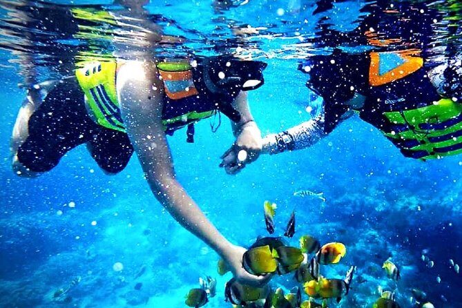 Blue Lagoon Paradise Snorkeling Tour - Introduction