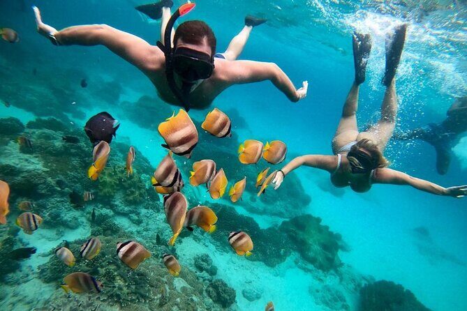 Blue Lagoon Snorkeling and Lunch - Ubud Monkey Forest - Waterfall - A Full Breakdown of the Experience