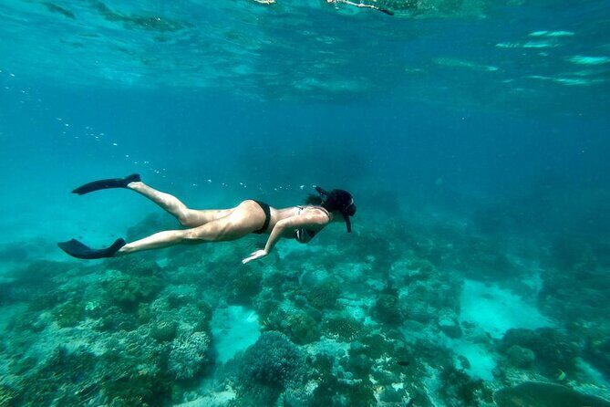 Blue Lagoon Snorkeling and Lunch - Ubud Monkey Forest - Waterfall - Who Should Consider This Tour?