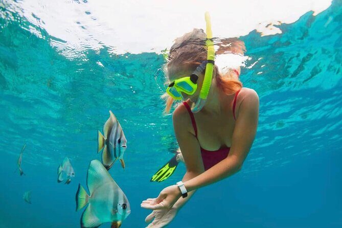 Blue Lagoon Snorkeling and Lunch with Private Transfer - Final Thoughts: Is This Tour Right for You?
