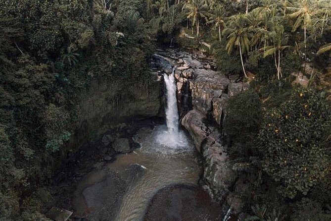 Blue Lagoon Snorkeling and Lunch with Visit Tegenungn Waterfall in Ubud - Why Travelers Rate It So Highly