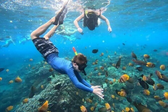 Blue Lagoon Snorkeling and Lunch with Visit Waterfall in Ubud - Key Points