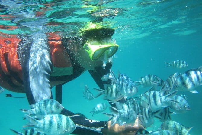 Blue Lagoon Snorkeling and Lunch with Visit Waterfall in Ubud - FAQ