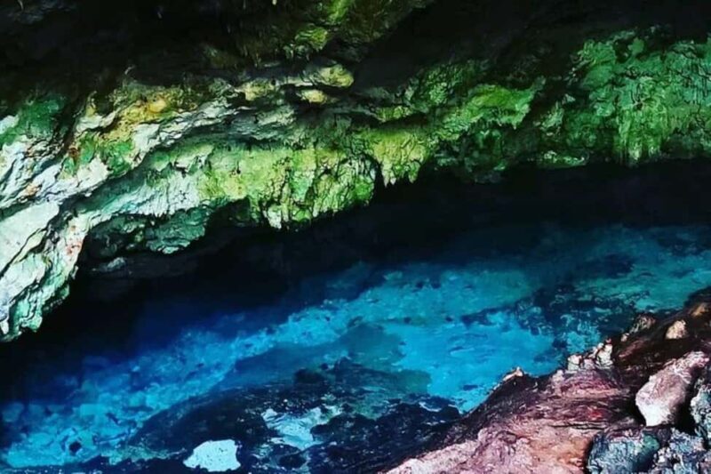 Blue Lagoon Snorkeling, The Rock, Kuza Cave, Mnemba Island - Who Will Love This Tour?