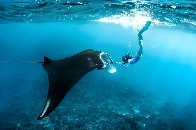 Blue Lagoon Snorkeling with Lunch and Private Transport - Who Should Consider This Tour?