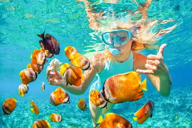 Blue Lagoon Snorkling activities - A Detailed Look at the Blue Lagoon Snorkeling Tour