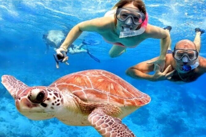 Blue Lagoon Snorkling activities - Why This Tour Offers Real Value
