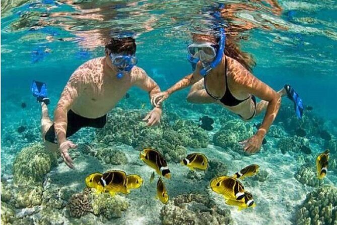 Blue Lagoon Snorkling activities - Key Points